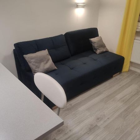 Comfortable Studio Only 20 Minutes From International Conference Center Katowice Best Place For Wuf2022 Eec Tnf Off Etc Siemianowice Śląskie 외부 사진